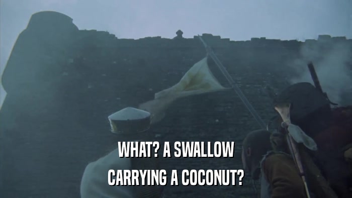 WHAT? A SWALLOW CARRYING A COCONUT? 