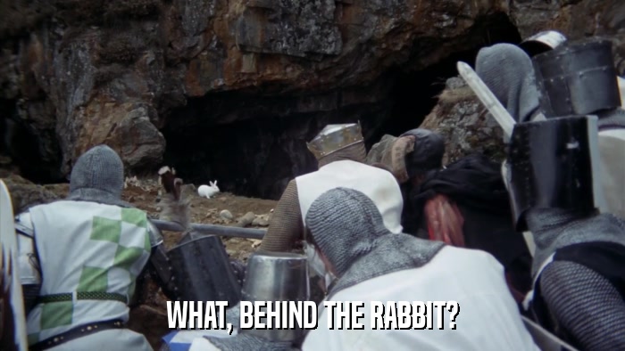 WHAT, BEHIND THE RABBIT?  