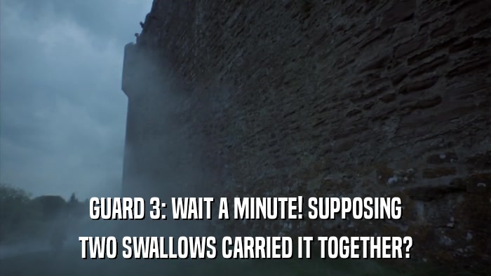 GUARD 3: WAIT A MINUTE! SUPPOSING TWO SWALLOWS CARRIED IT TOGETHER? 