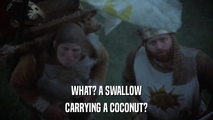 WHAT? A SWALLOW CARRYING A COCONUT? 