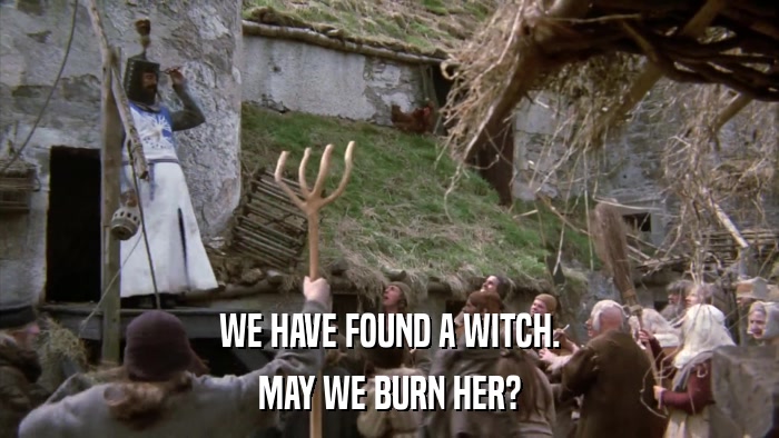 WE HAVE FOUND A WITCH. MAY WE BURN HER? 