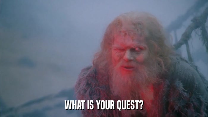 WHAT IS YOUR QUEST?  