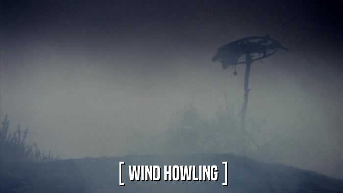 [ WIND HOWLING ]  