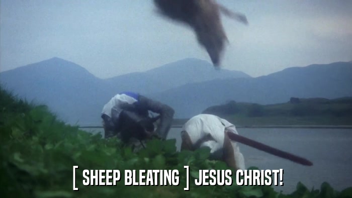 [ SHEEP BLEATING ] JESUS CHRIST!  