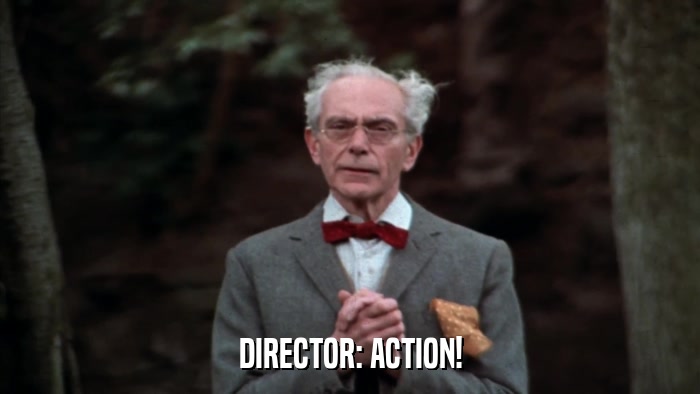 DIRECTOR: ACTION!  