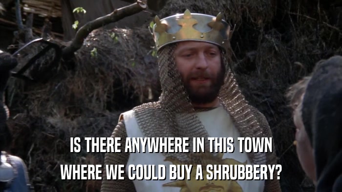 IS THERE ANYWHERE IN THIS TOWN WHERE WE COULD BUY A SHRUBBERY? 