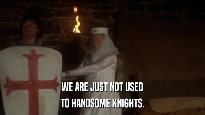 WE ARE JUST NOT USED TO HANDSOME KNIGHTS. 