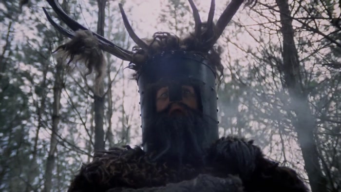 A SHRUBBERY.  