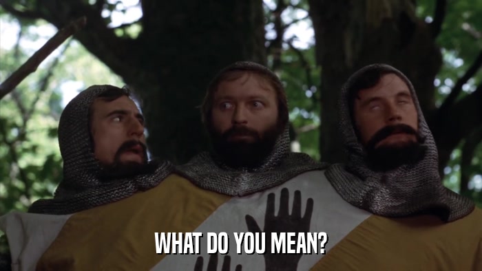 WHAT DO YOU MEAN?  