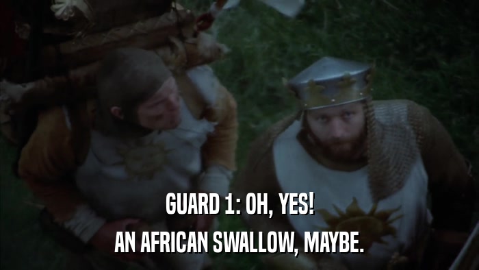 GUARD 1: OH, YES! AN AFRICAN SWALLOW, MAYBE. 