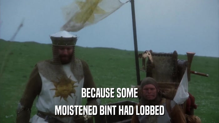 BECAUSE SOME MOISTENED BINT HAD LOBBED 