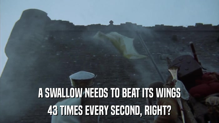 A SWALLOW NEEDS TO BEAT ITS WINGS 43 TIMES EVERY SECOND, RIGHT? 