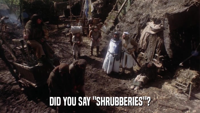 DID YOU SAY 