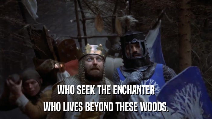 WHO SEEK THE ENCHANTER WHO LIVES BEYOND THESE WOODS. 
