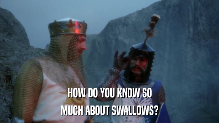 HOW DO YOU KNOW SO MUCH ABOUT SWALLOWS? 