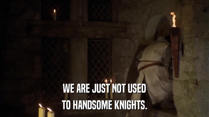 WE ARE JUST NOT USED TO HANDSOME KNIGHTS. 