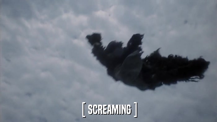 [ SCREAMING ]  