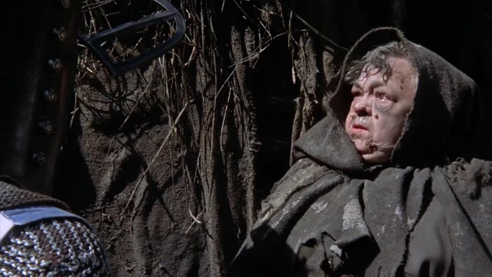 NO! WE HAVE NO SHRUBBERIES HERE.  