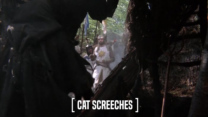 [ CAT SCREECHES ]  