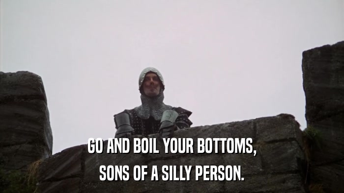 GO AND BOIL YOUR BOTTOMS, SONS OF A SILLY PERSON. 