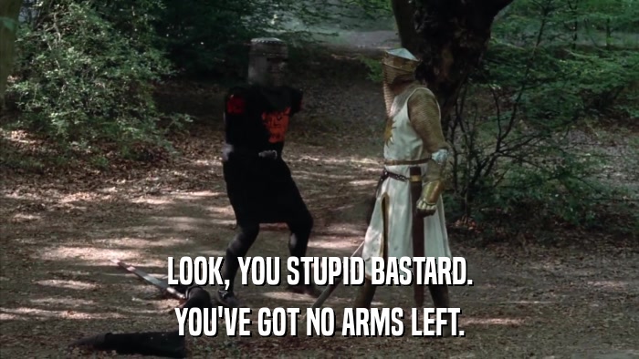 LOOK, YOU STUPID BASTARD. YOU'VE GOT NO ARMS LEFT. 