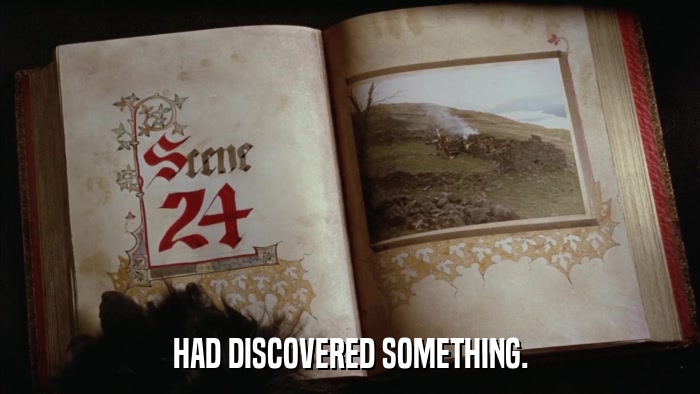 HAD DISCOVERED SOMETHING.  
