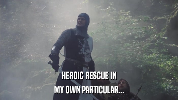 HEROIC RESCUE IN MY OWN PARTICULAR... 