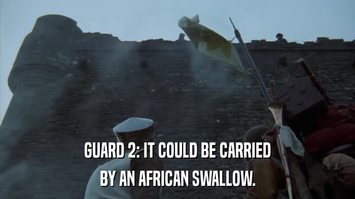 GUARD 2: IT COULD BE CARRIED BY AN AFRICAN SWALLOW. 
