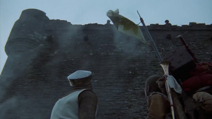 GUARD 2: IT COULD BE CARRIED BY AN AFRICAN SWALLOW. 