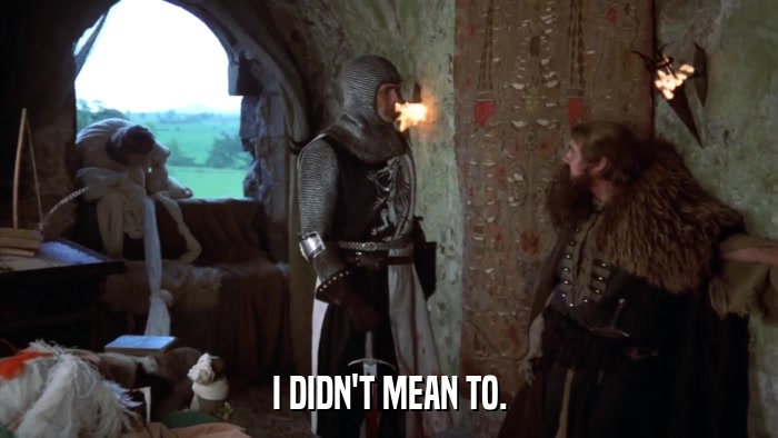 I DIDN'T MEAN TO.  