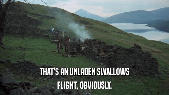 THAT'S AN UNLADEN SWALLOWS FLIGHT, OBVIOUSLY. 