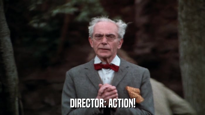 DIRECTOR: ACTION!  