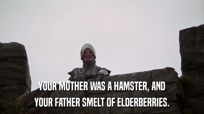 YOUR MOTHER WAS A HAMSTER, AND YOUR FATHER SMELT OF ELDERBERRIES. 
