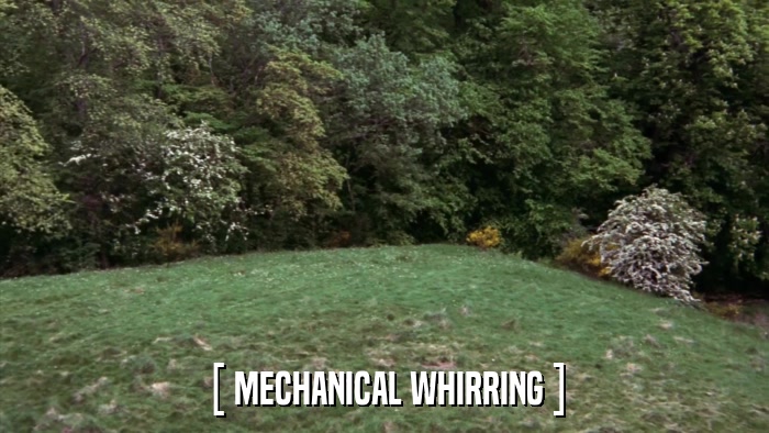 [ MECHANICAL WHIRRING ]  