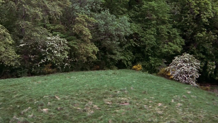 [ MECHANICAL WHIRRING ]  