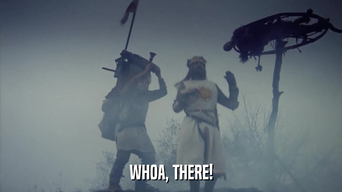WHOA, THERE!  