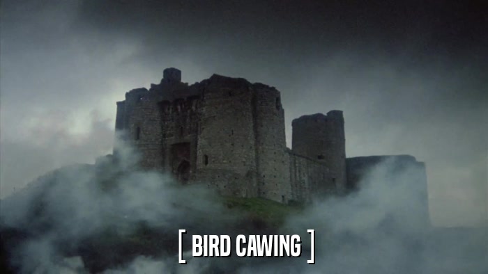[ BIRD CAWING ]  