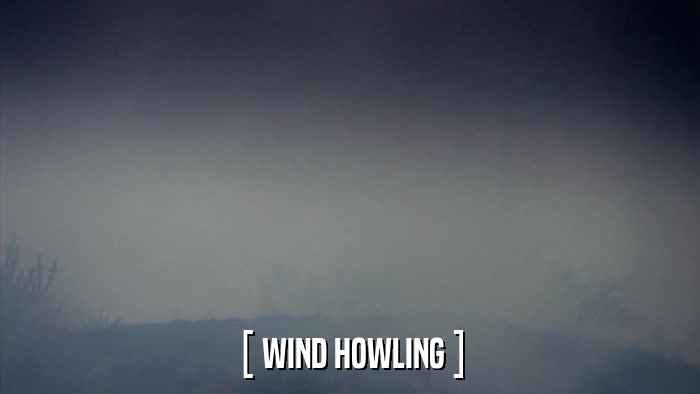 [ WIND HOWLING ]  