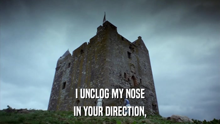 I UNCLOG MY NOSE IN YOUR DIRECTION, 