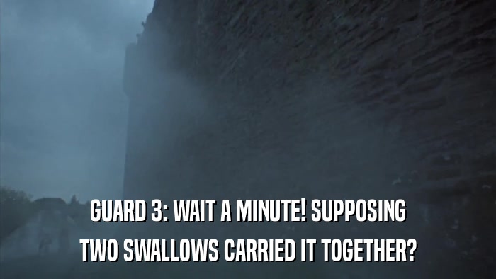GUARD 3: WAIT A MINUTE! SUPPOSING TWO SWALLOWS CARRIED IT TOGETHER? 