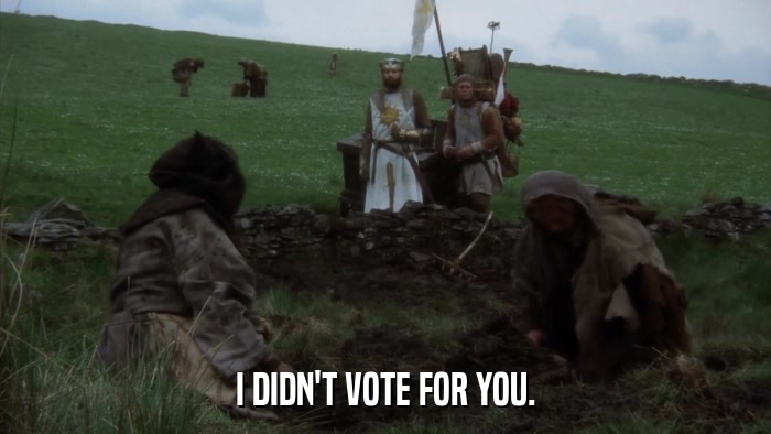 I DIDN'T VOTE FOR YOU.  