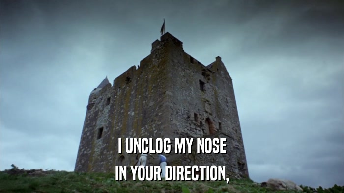 I UNCLOG MY NOSE IN YOUR DIRECTION, 
