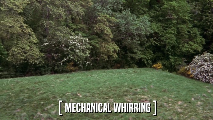 [ MECHANICAL WHIRRING ]  
