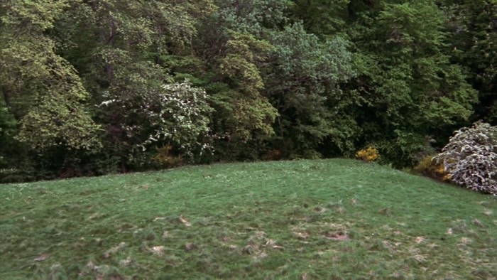 [ MECHANICAL WHIRRING ]  