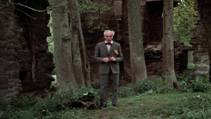IF THE QUEST FOR THE HOLY GRAIL WERE 