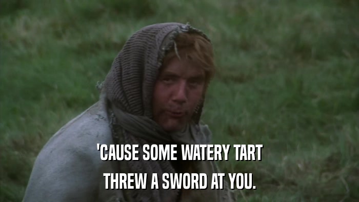 'CAUSE SOME WATERY TART THREW A SWORD AT YOU. 