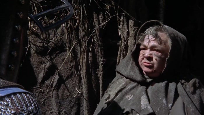 NO! WE HAVE NO SHRUBBERIES HERE.  