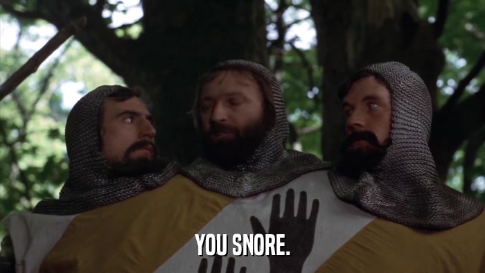 YOU SNORE.  