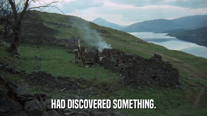 HAD DISCOVERED SOMETHING.  