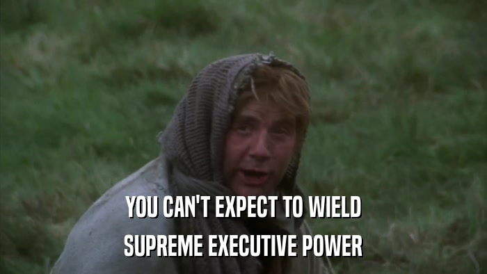 YOU CAN'T EXPECT TO WIELD SUPREME EXECUTIVE POWER 